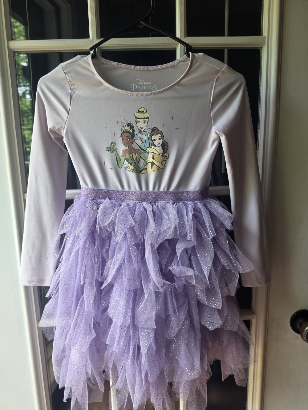Disney Princess Lilac Purple Tulle Skirt Costume Dress
